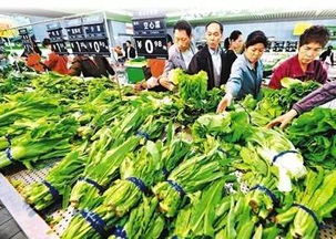 春節前菜市場探秘 蔬菜、水產、肉類價格與供應全解析